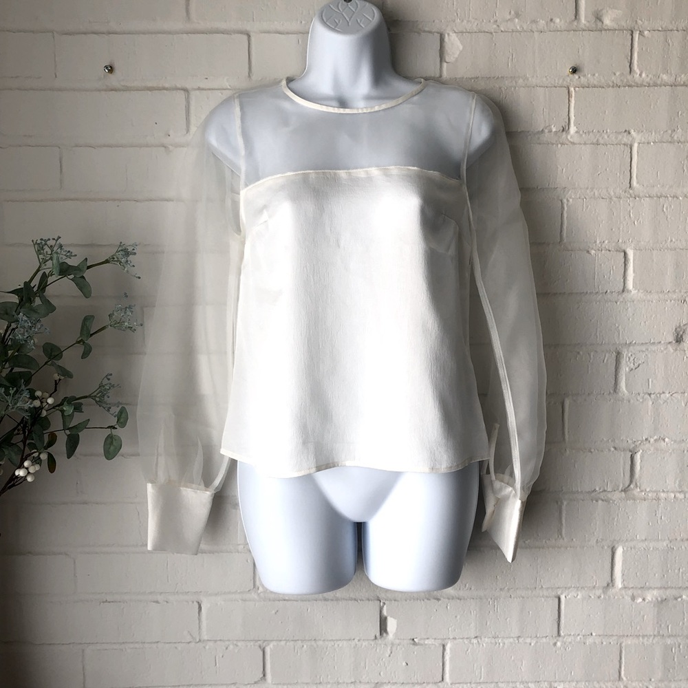 Express Organza long sleeve satin top